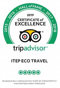 Certificate of Excellence Tripadvisor 2019