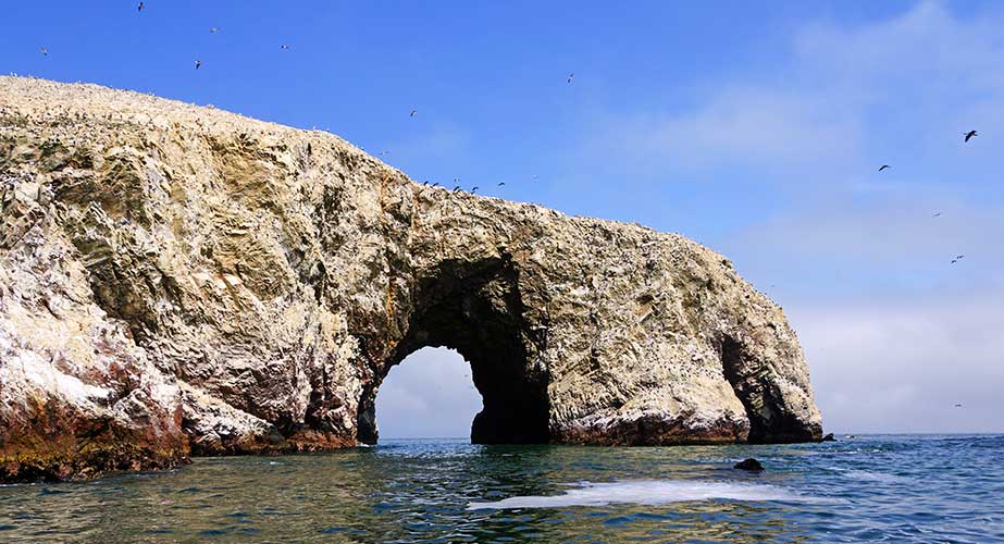 Day 4: FULL DAY TO PARACAS & ICA