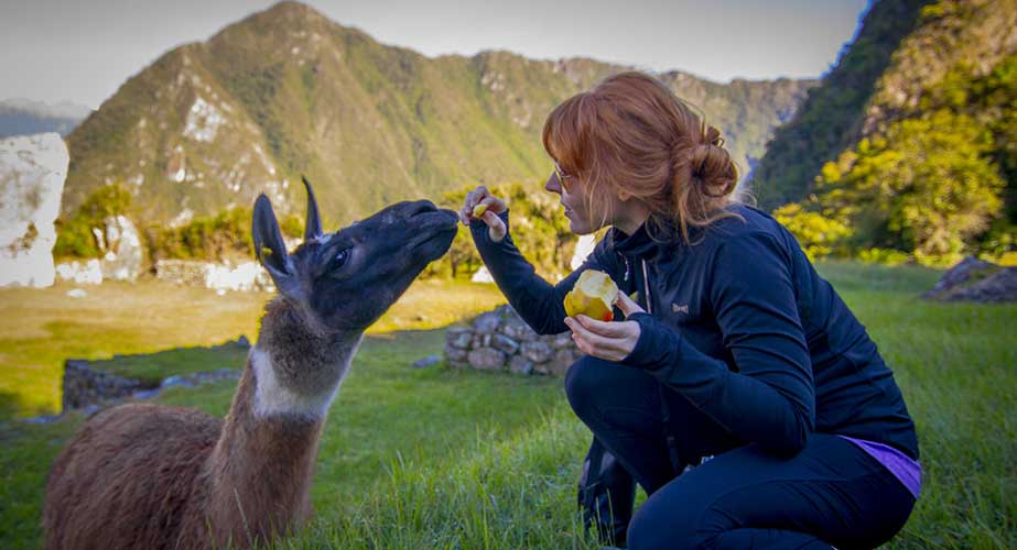 Day 9: AGUAS CALIENTES / MACHU PICCHU / CUZCO