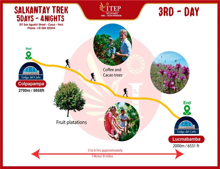 Map of Day 3: Descending into the Cloud Forest